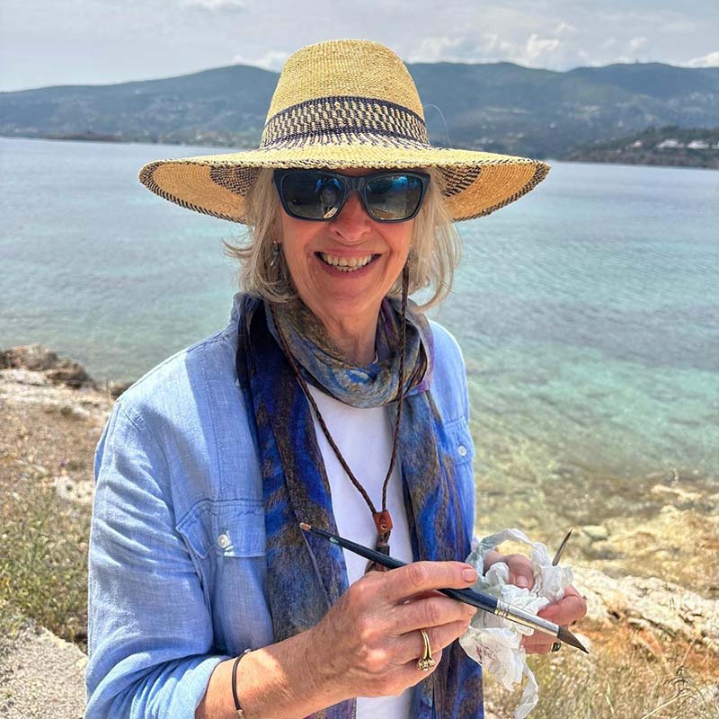Meraki Expeditions